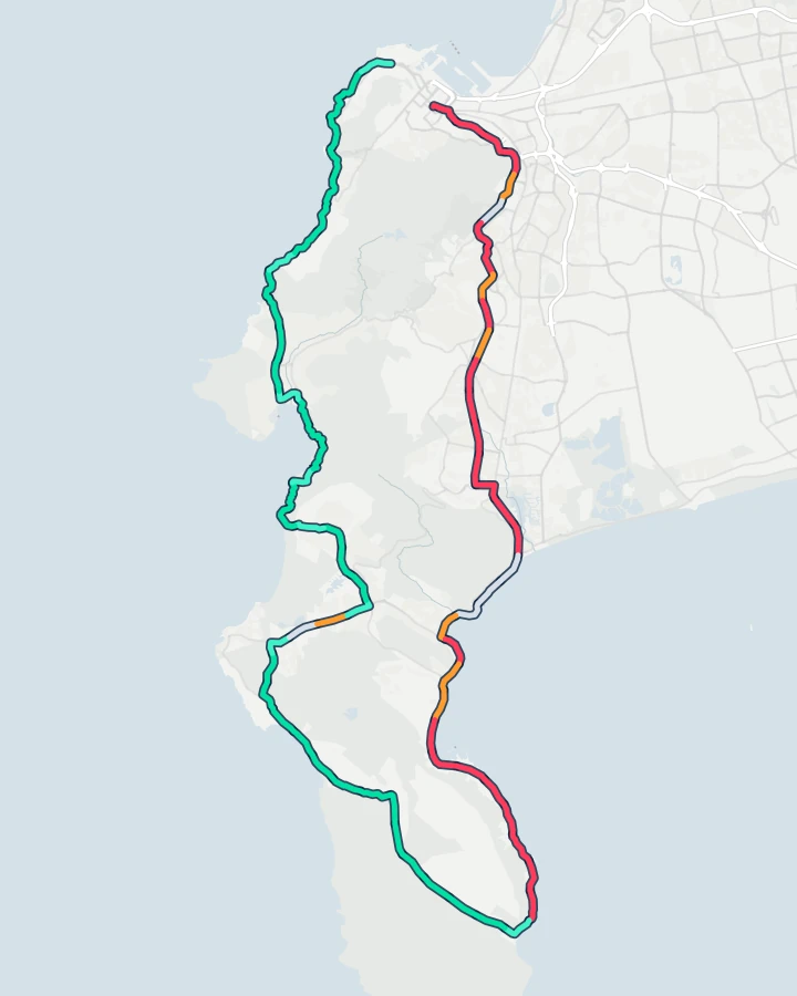 Map of the 109 km Cape Town Cycle Tour route from the Grand Parade over Nelson Mandela Boulevard and Wynberg Hill, down the False Bay coast to Simon’s Town and Cape Point, back up the Atlantic side over Chapman’s Peak and Suikerbossie to Green Point, each stretch coloured by how often the wind was a headwind or a tailwind there in 10 years of race days.