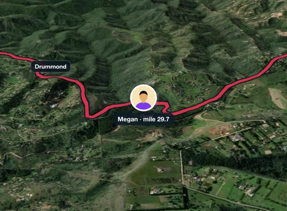 RunFast’s live map: a runner on the Comrades course, coloured red for high heat.